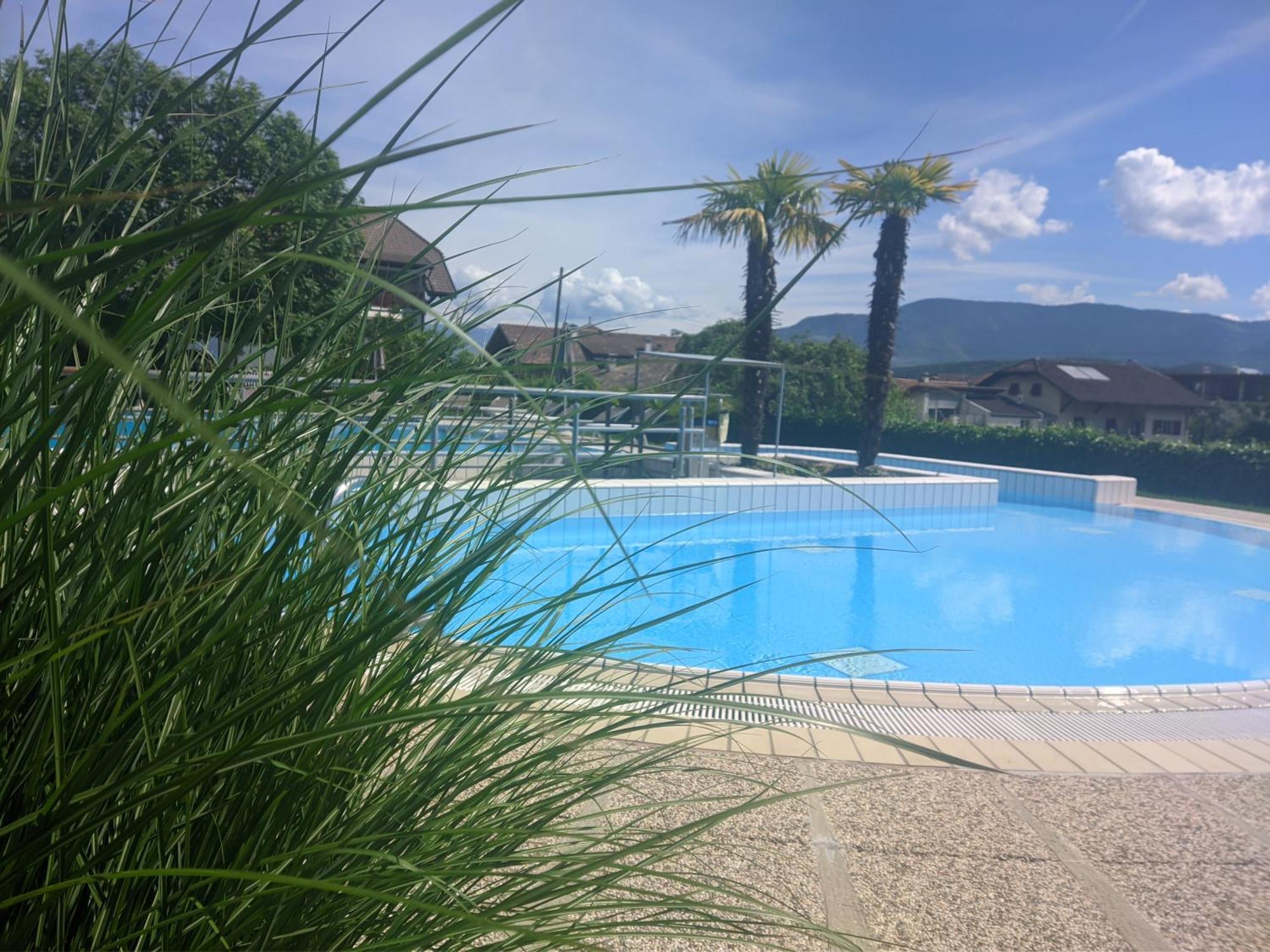 Garni Saltneregg Hotel Caldaro Exterior foto
